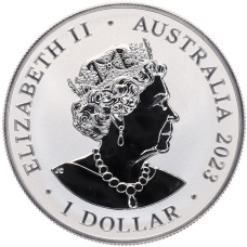 Монета 1 доллар 2023 года Австралия «Самая опасная в Австралии — Австралийская коробчатая медуза» (реверс)