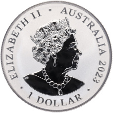 Монета 1 доллар 2023 года Австралия «Самая опасная в Австралии — Австралийская коробчатая медуза» (реверс)