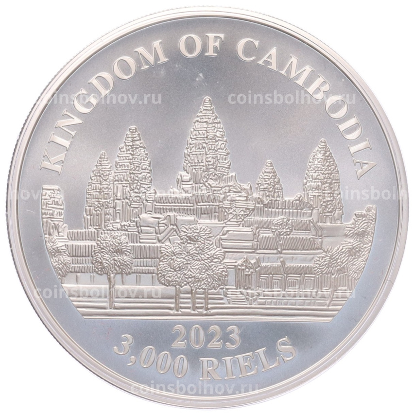 Монета 3000 риелей 2023 года Камбоджа «Дымчатый леопард» (Цветное покрытие) (вид 2)