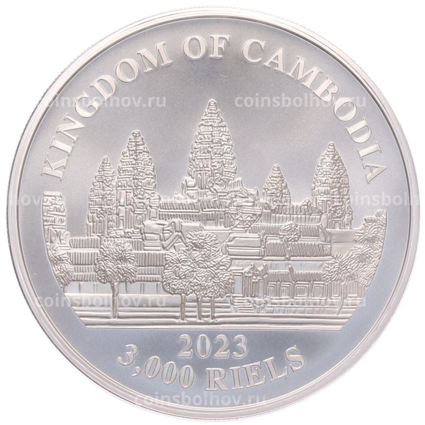 Монета 3000 риелей 2023 года Камбоджа «Дымчатый леопард» (Цветное покрытие) (вид 2)