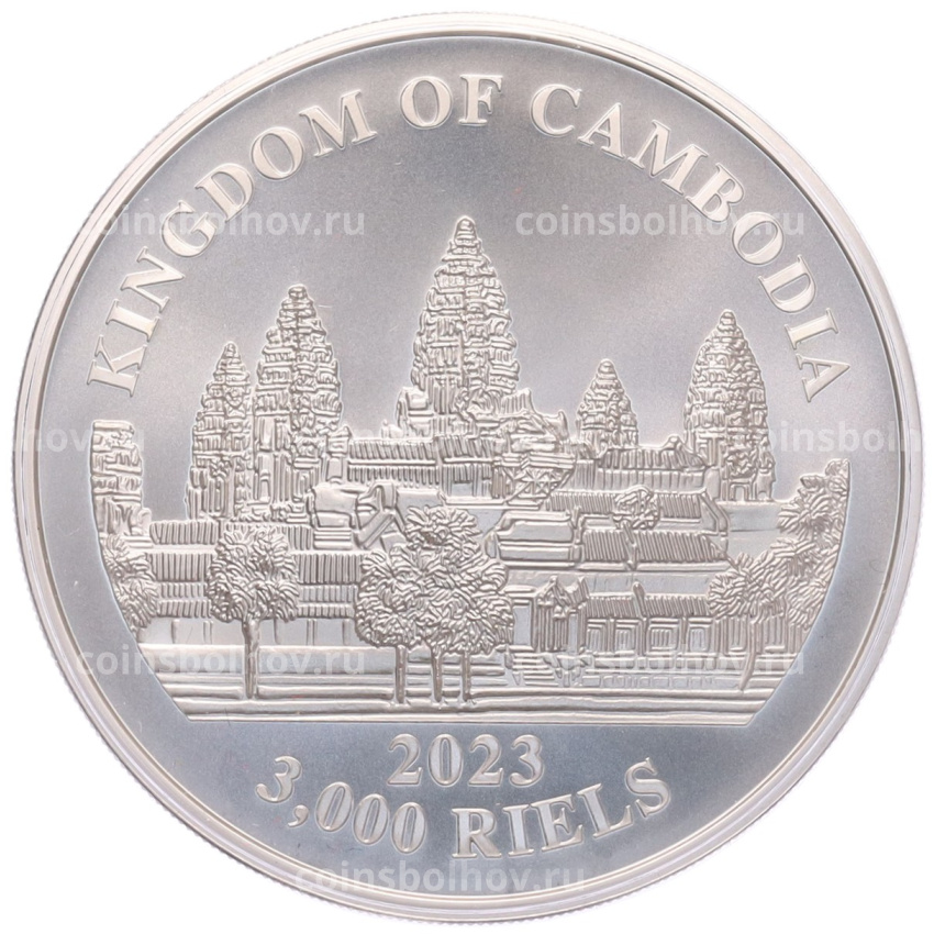Монета 3000 риелей 2023 года Камбоджа «Дымчатый леопард» (Цветное покрытие) (вид 2)