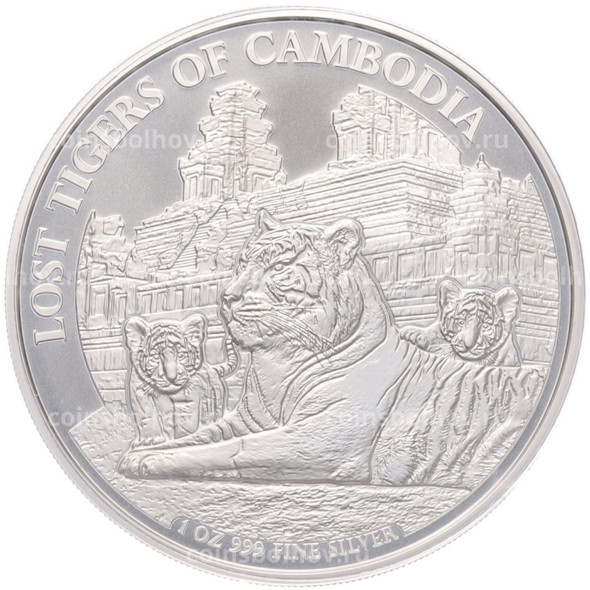 Монета 3000 риелей 2025 года Камбоджа «Потерянные тигры Камбоджи»