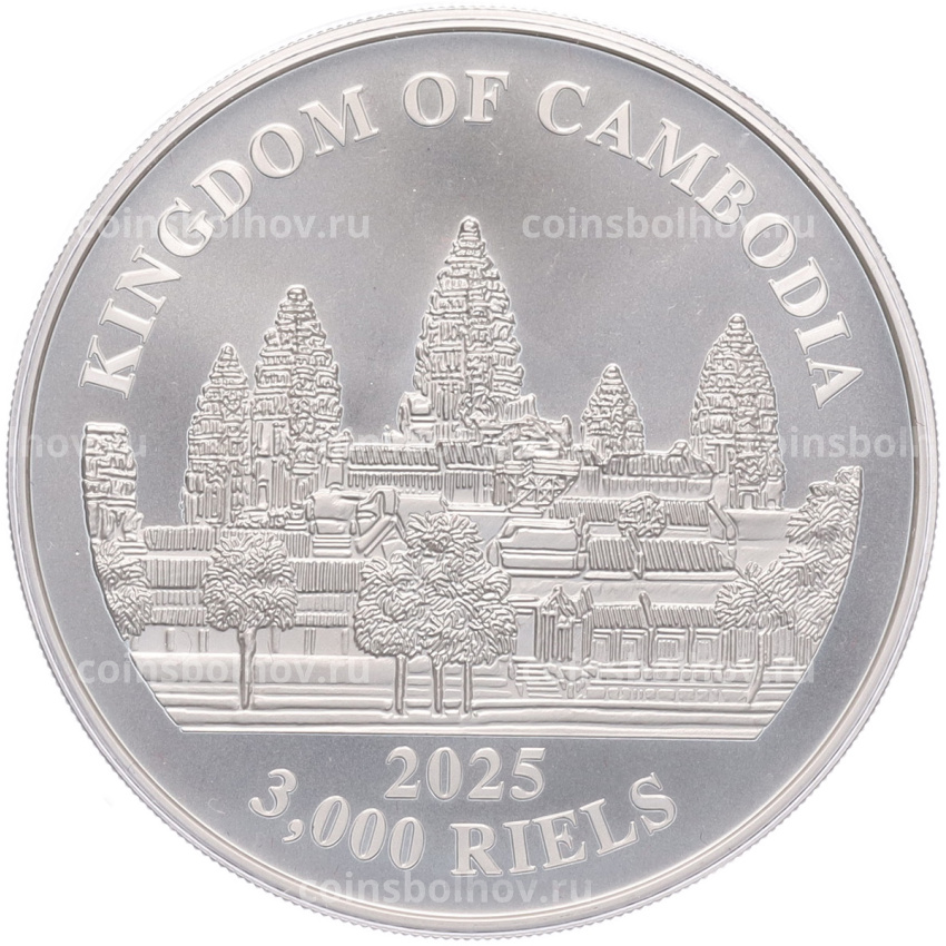 Монета 3000 риелей 2025 года Камбоджа «Потерянные тигры Камбоджи» (вид 2)