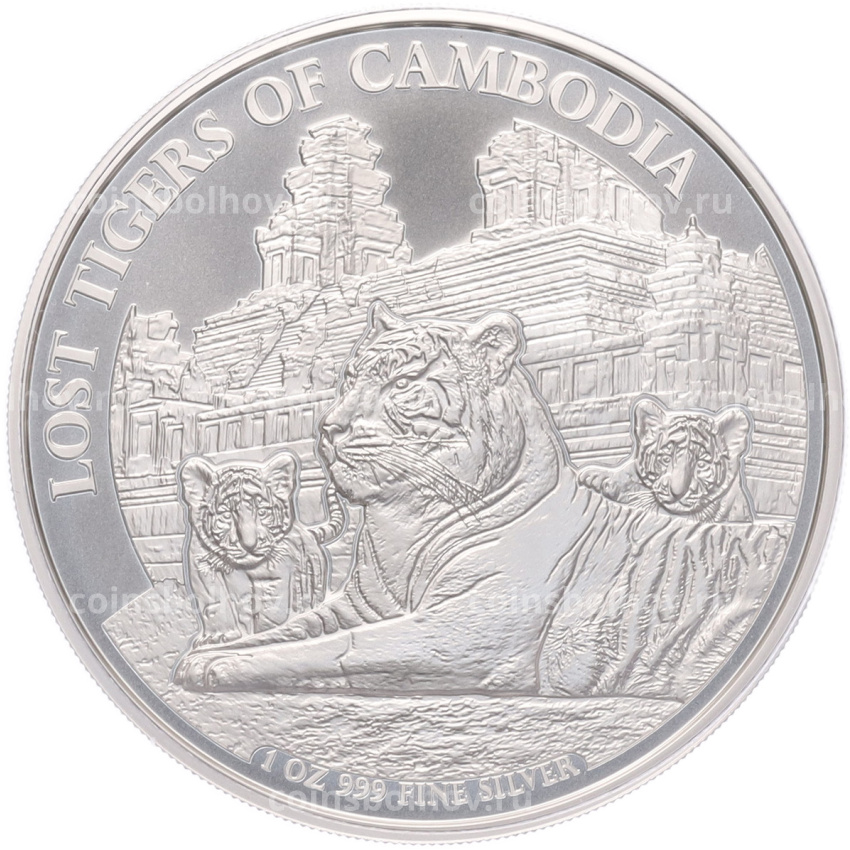 Монета 3000 риелей 2025 года Камбоджа «Потерянные тигры Камбоджи»