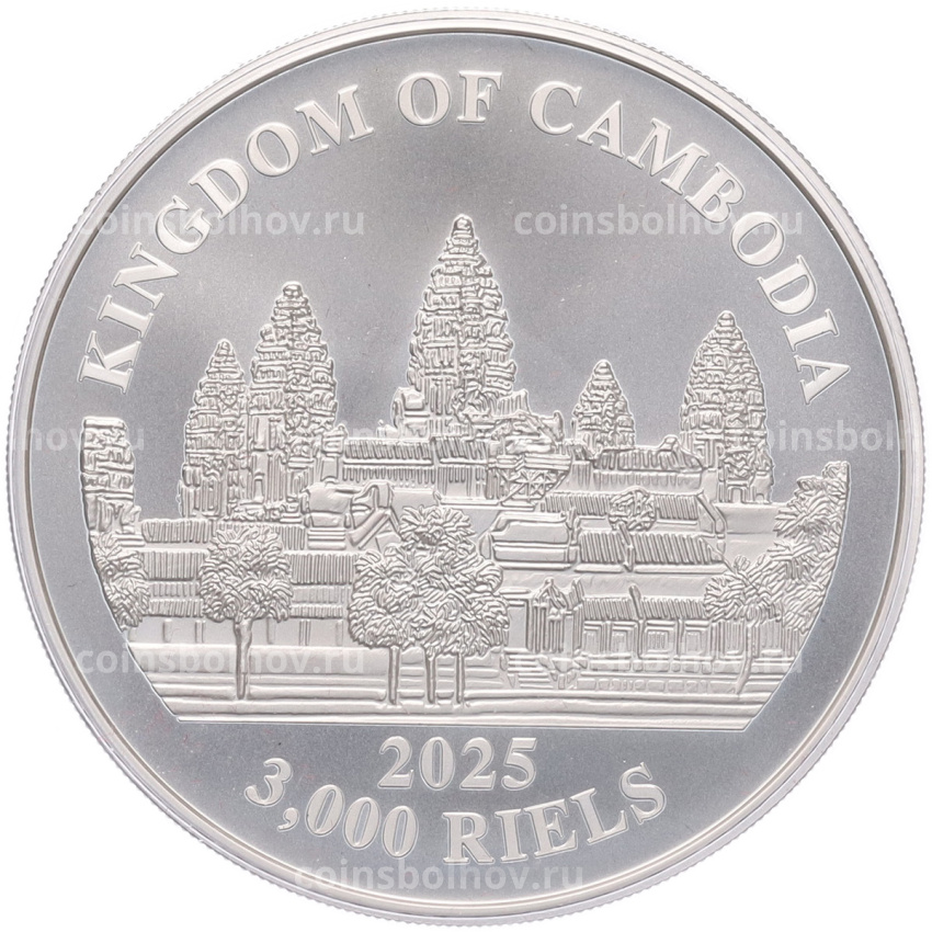 Монета 3000 риелей 2025 года Камбоджа «Потерянные тигры Камбоджи» (вид 2)