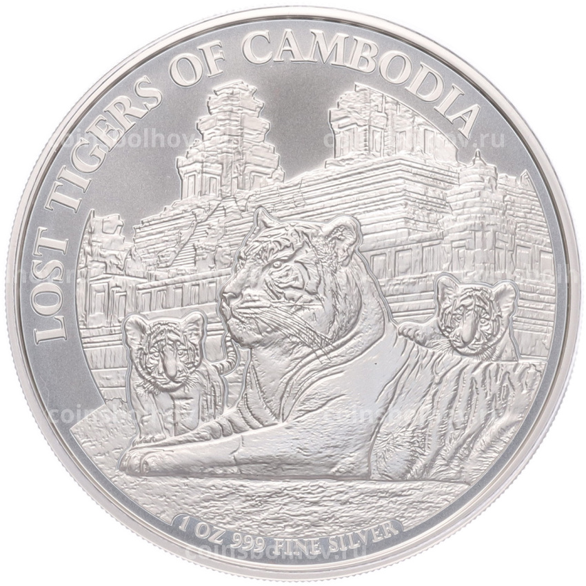 Монета 3000 риелей 2025 года Камбоджа «Потерянные тигры Камбоджи»