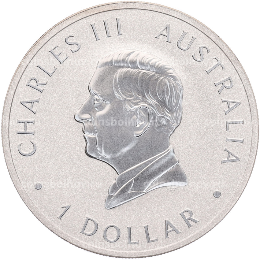 Монета 1 доллар 2024 года Австралия «Австралийская коала» (вид 2)