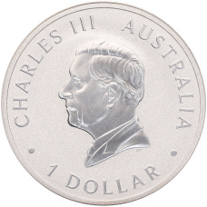 Монета 1 доллар 2024 года Австралия «Австралийская коала» (реверс)