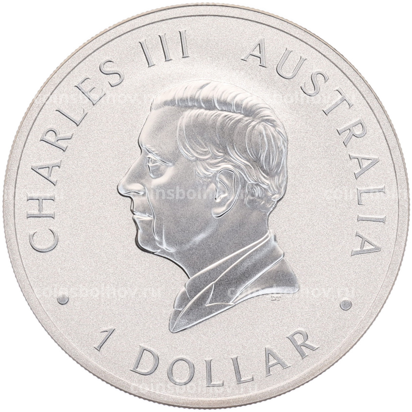Монета 1 доллар 2024 года Австралия «Австралийская коала» (вид 2)