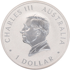 Монета 1 доллар 2024 года Австралия «Австралийская коала» (реверс)