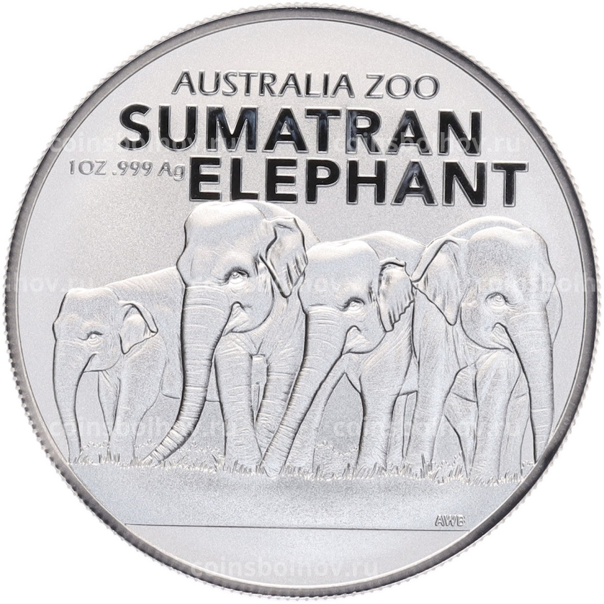 Монета 1 доллар 2022 года Австралия «Австралийский зоопарк — Суматранский слон»