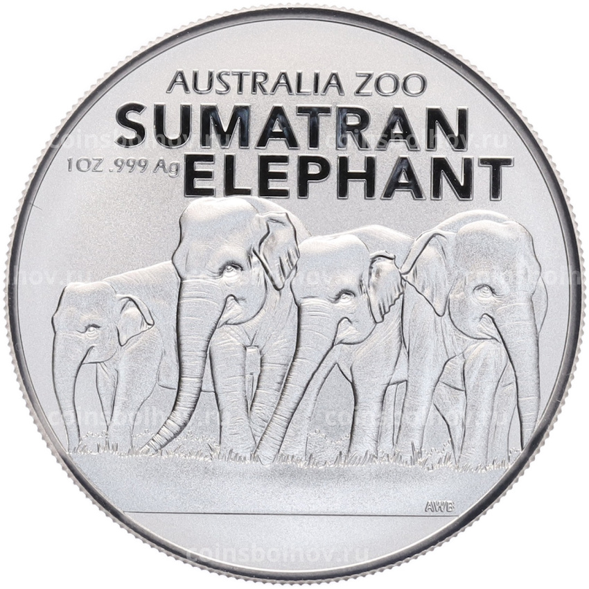 Монета 1 доллар 2022 года Австралия «Австралийский зоопарк — Суматранский слон»