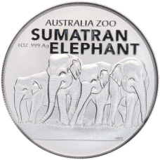 Монета 1 доллар 2022 года Австралия «Австралийский зоопарк — Суматранский слон» (аверс)