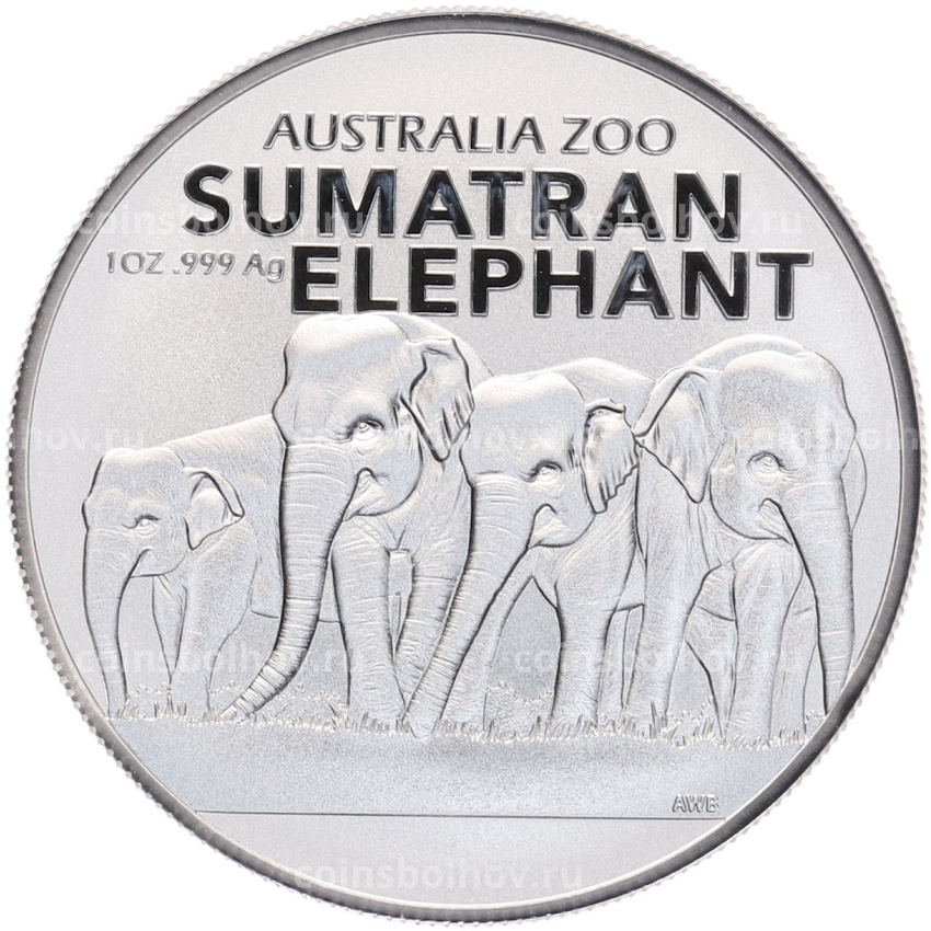 Монета 1 доллар 2022 года Австралия «Австралийский зоопарк — Суматранский слон»