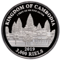 Монета 3000 риэлей 2019 года Камбоджа «Китайский гороскоп — Год свиньи» (реверс)