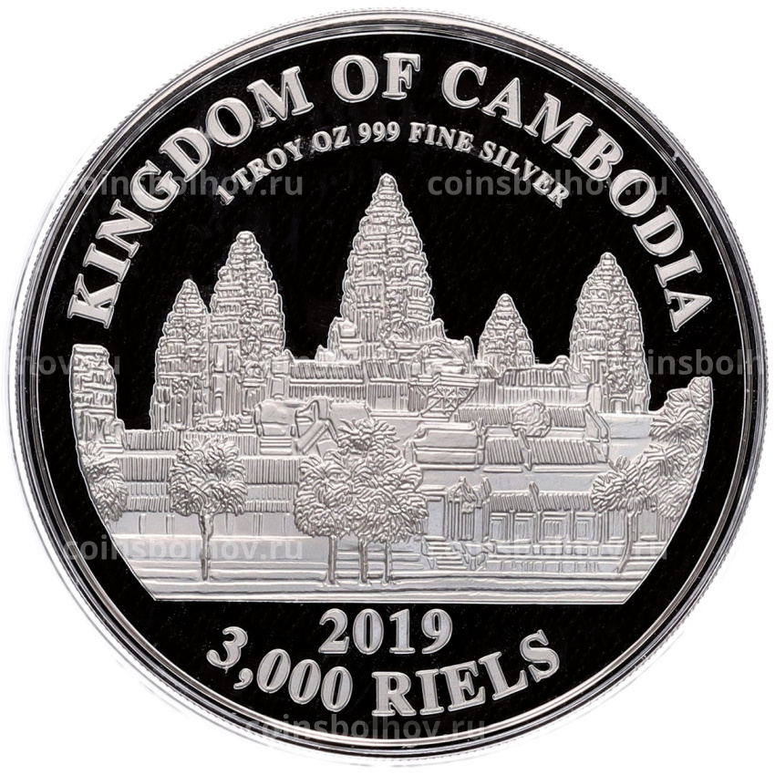 Монета 3000 риэлей 2019 года Камбоджа «Китайский гороскоп — Год свиньи» (вид 2)