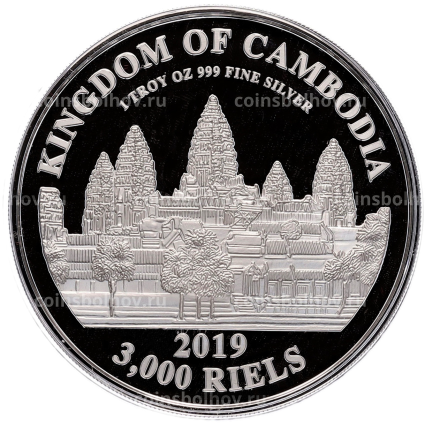 Монета 3000 риэлей 2019 года Камбоджа «Китайский гороскоп — Год свиньи» (вид 2)