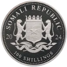 Монета 100 шиллингов 2024 года Сомали «Дикая природа Африки — Слон» (реверс)