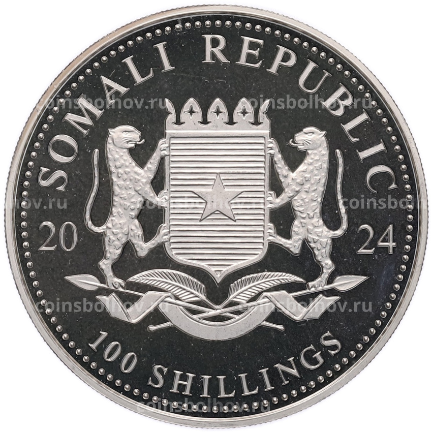 Монета 100 шиллингов 2024 года Сомали «Дикая природа Африки — Слон» (вид 2)