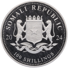 Монета 100 шиллингов 2024 года Сомали «Дикая природа Африки — Слон» (реверс)