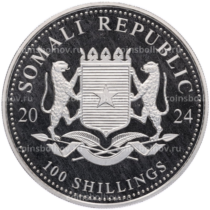 Монета 100 шиллингов 2024 года Сомали «Дикая природа Африки — Слон» (вид 2)