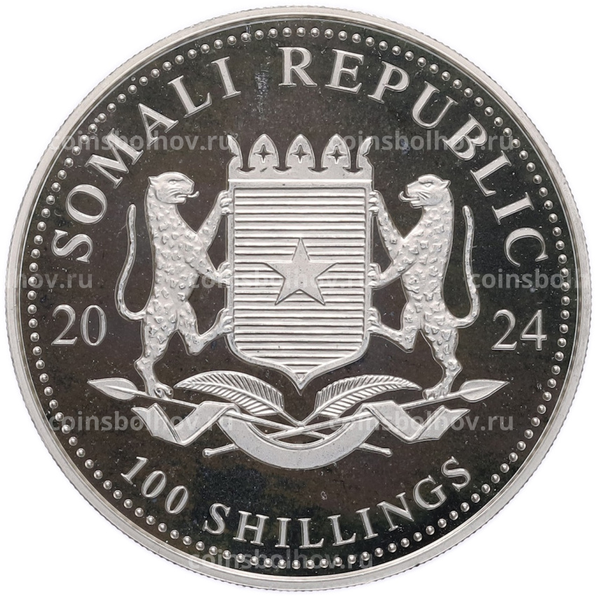 Монета 100 шиллингов 2024 года Сомали «Дикая природа Африки — Слон» (вид 2)