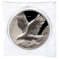 Монета 1 доллар 2025 года Самоа «Беркут» (аверс)
