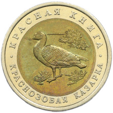 Монета 10 рублей 1992 года ЛМД «Красная книга — Краснозобая казарка» (аверс)