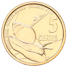 Монета 5 центов 2022 года Сейшелы (аверс)