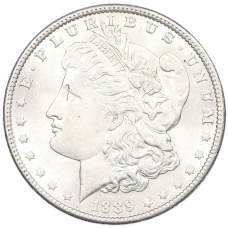 Монета 1 доллар 1889 года США (аверс)