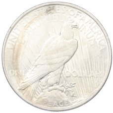 Монета 1 доллар 1922 года США (реверс)