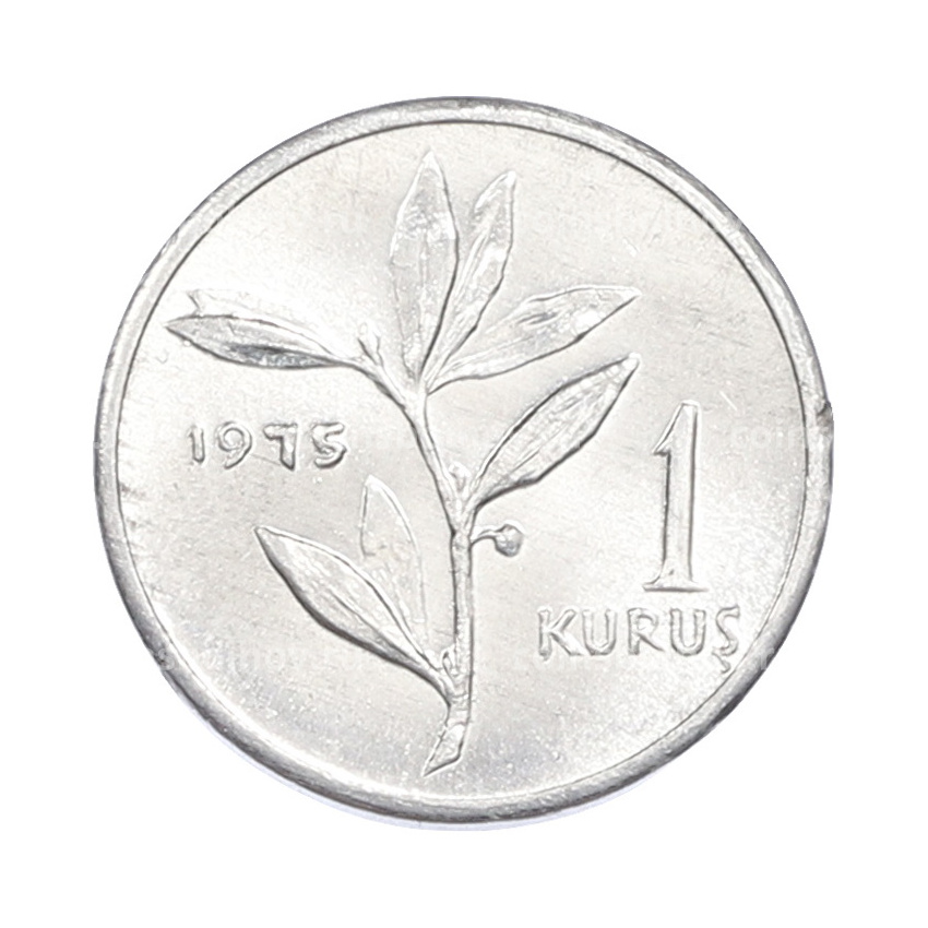 Монета 1 куруш 1975 года Турция