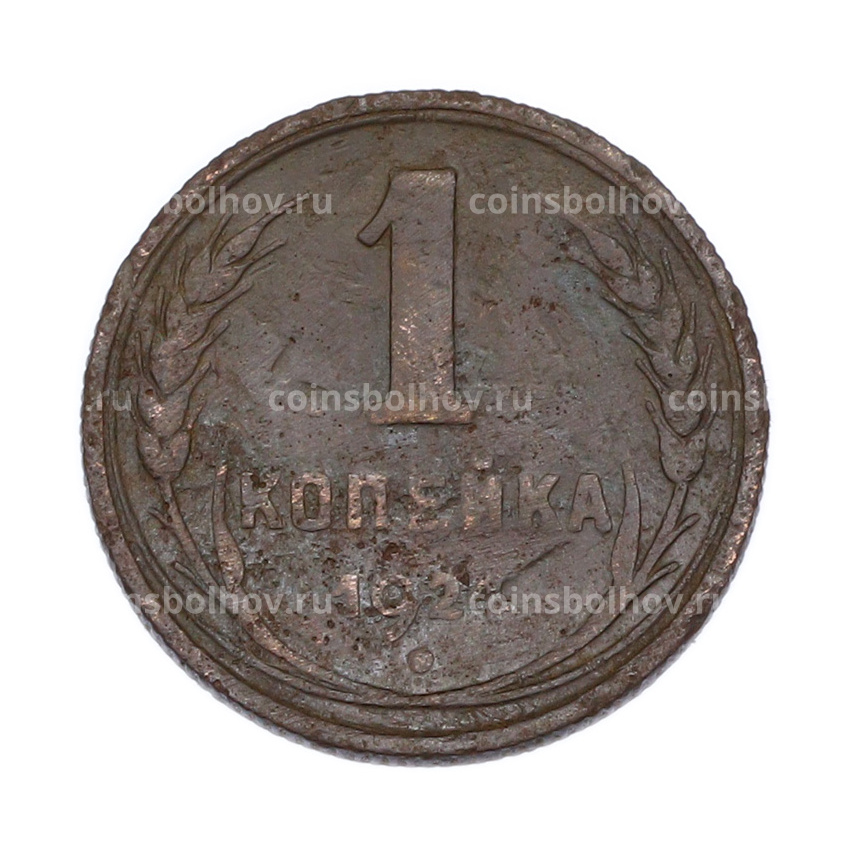 Монета 1 копейка 1924 года