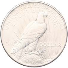 Монета 1 доллар 1925 года США (реверс)