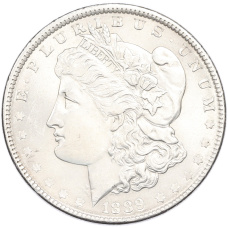 1 доллар 1889 года США (Копия)