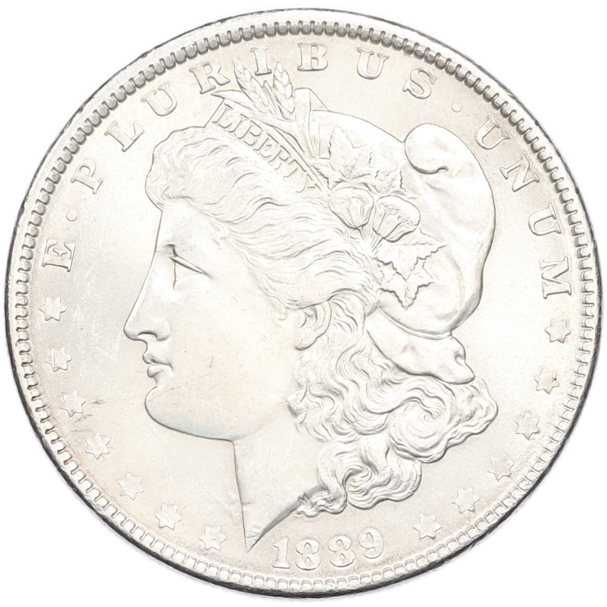 1 доллар 1889 года США (Копия)