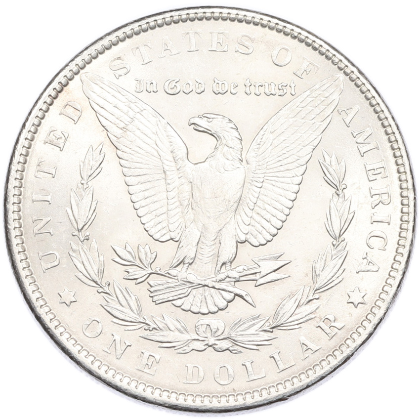 1 доллар 1889 года США (Копия) (вид 2)